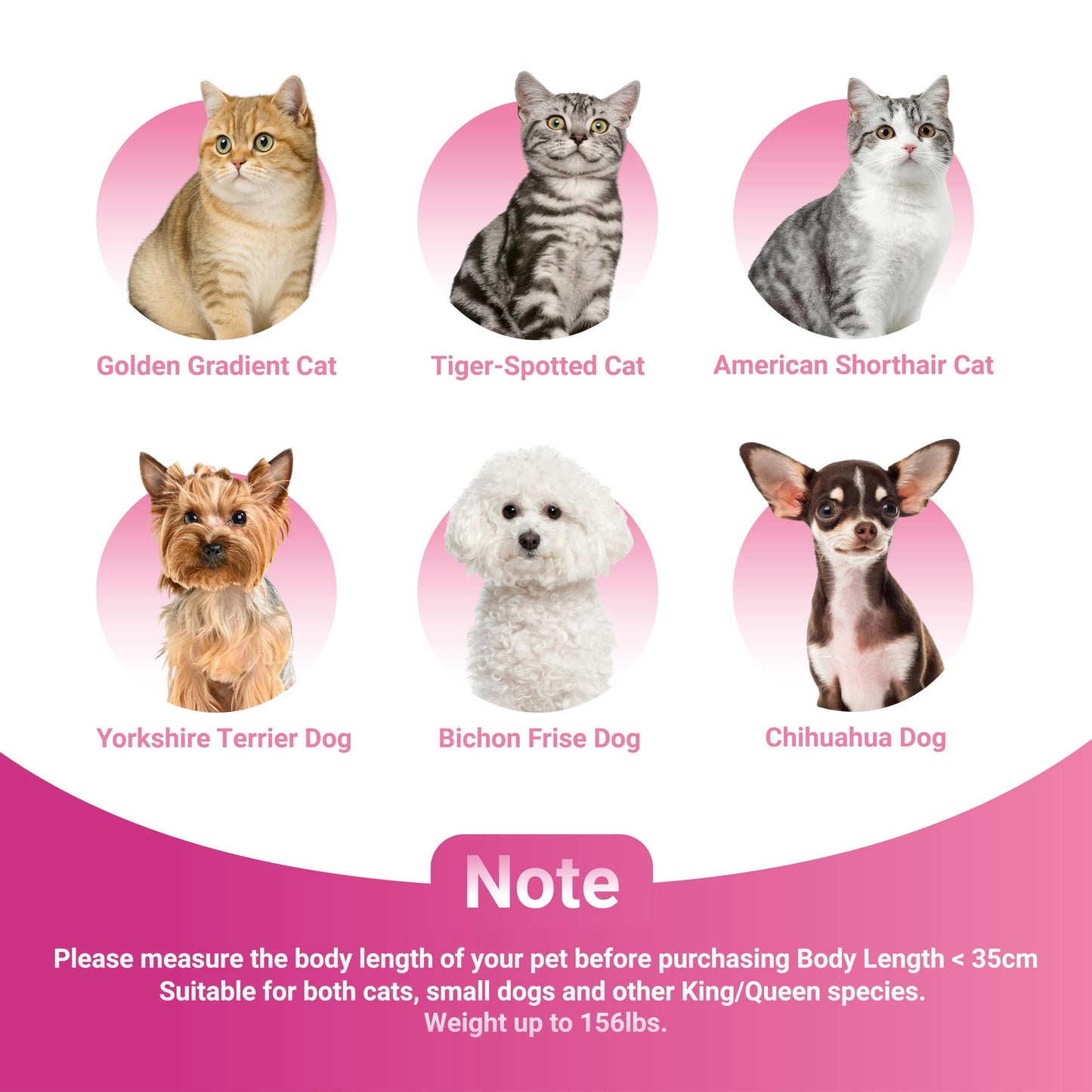 Cuddle Republic Luxury Pet Sofa – Holland Velvet DogCat Throne Chair, Pink Princess Style, Cozy & Soft, Washable Cover, Scratch-Resistant & Durable, Perfect for Home Décor & Pet Lovers